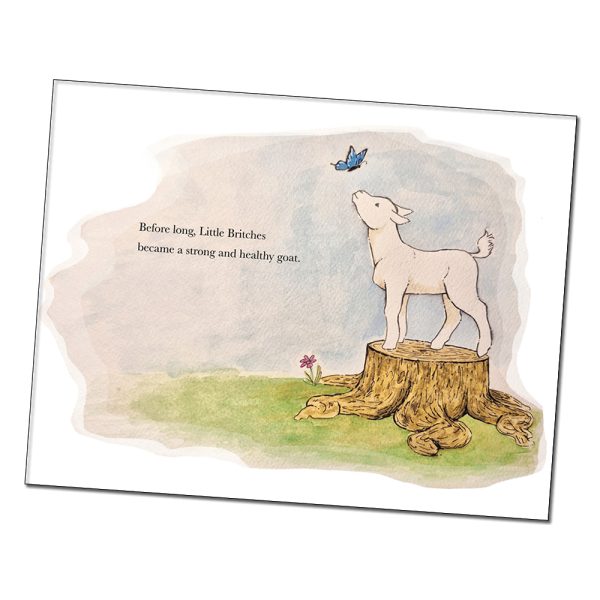 The Adventures of Little Britches: A True Story - Image 3