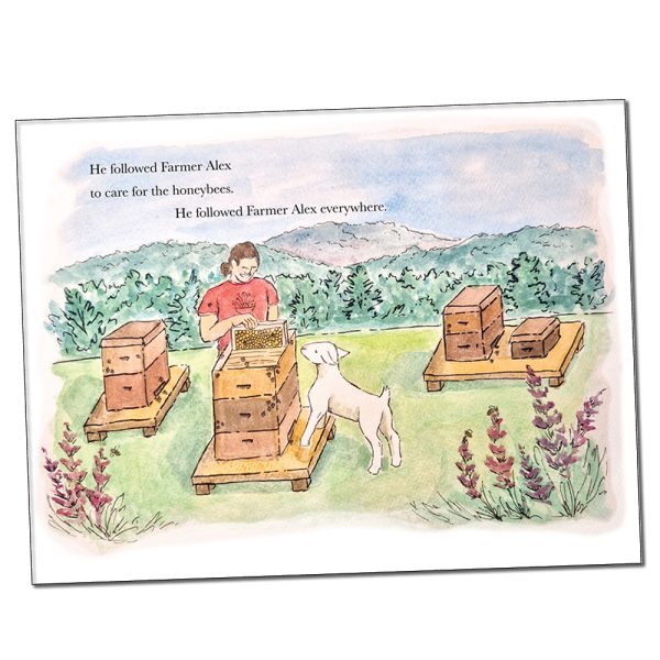 The Adventures of Little Britches: A True Story - Image 5