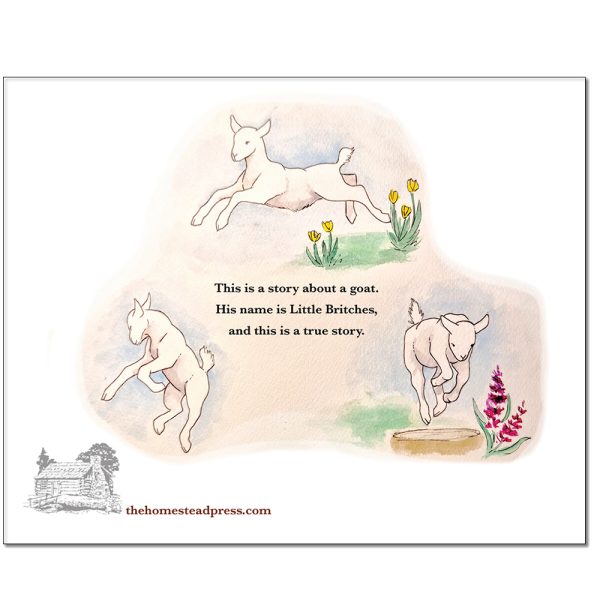 The Adventures of Little Britches: A True Story - Image 6
